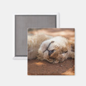 Getty Afbeeldingen | Slaapsnede Magneet (Voorkant / Achterkant)