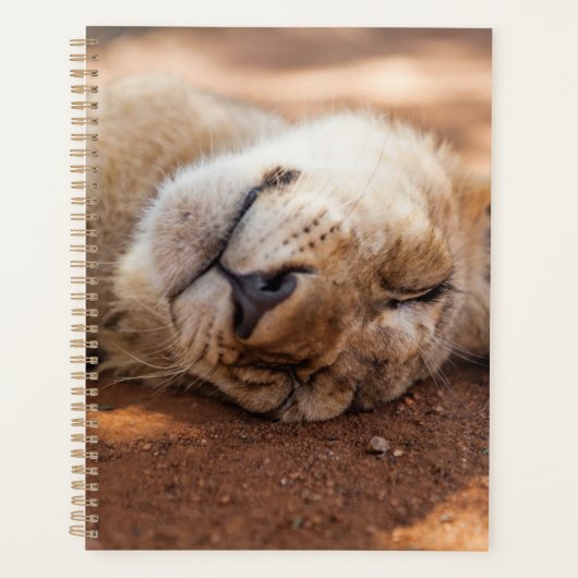 Getty Afbeeldingen | Slaapsnede Planner (Voorkant)