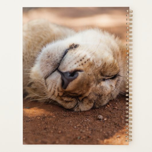 Getty Afbeeldingen | Slaapsnede Planner (Achterkant)