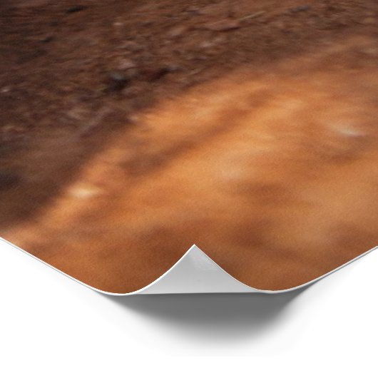 Getty Afbeeldingen | Slaapsnede Poster (Hoek)