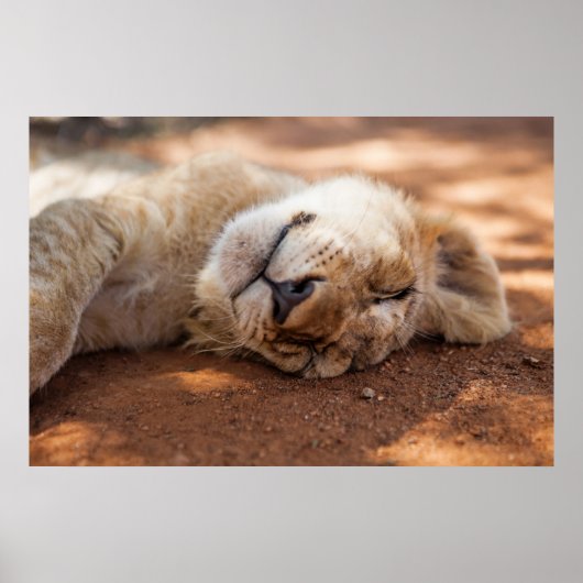 Getty Afbeeldingen | Slaapsnede Poster (Voorkant)