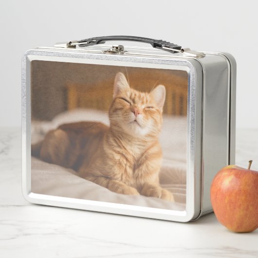 Getty Afbeeldingen | Slaperige kat (In situ)