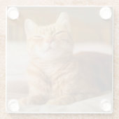 Getty Afbeeldingen | Slaperige kat Glazen Onderzetter (Achterkant)