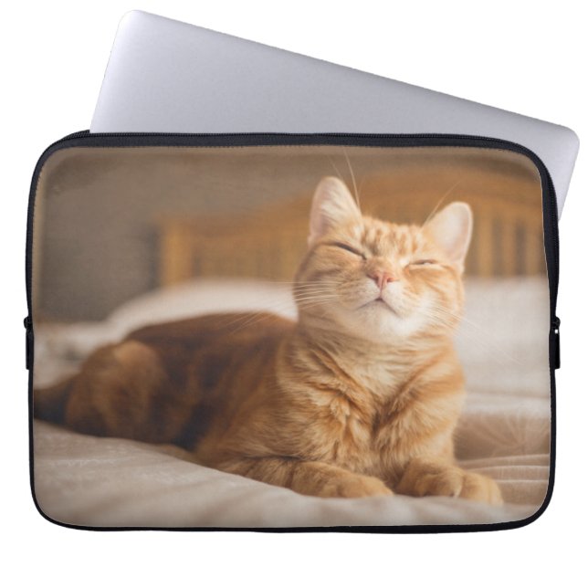 Getty Afbeeldingen | Slaperige kat Laptop Sleeve (Voorkant)