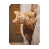 Getty Afbeeldingen | Slaperige kat Magneet (Verticaal)