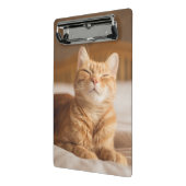 Getty Afbeeldingen | Slaperige kat Mini Klembord (Angled2)