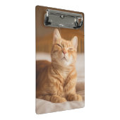 Getty Afbeeldingen | Slaperige kat Mini Klembord (Schuin)