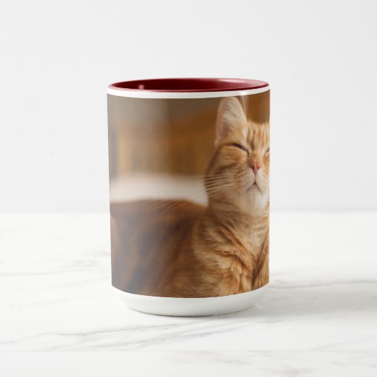 Getty Afbeeldingen | Slaperige kat Mok (Midden)