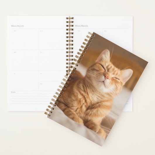 Getty Afbeeldingen | Slaperige kat Planner (Display)