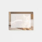 Getty Afbeeldingen | Slaperige kat Post-it® Notes (Voorkant)