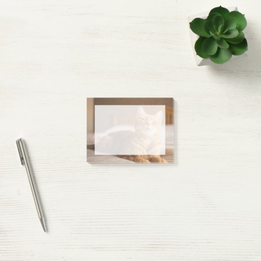 Getty Afbeeldingen | Slaperige kat Post-it® Notes (Kantoor)