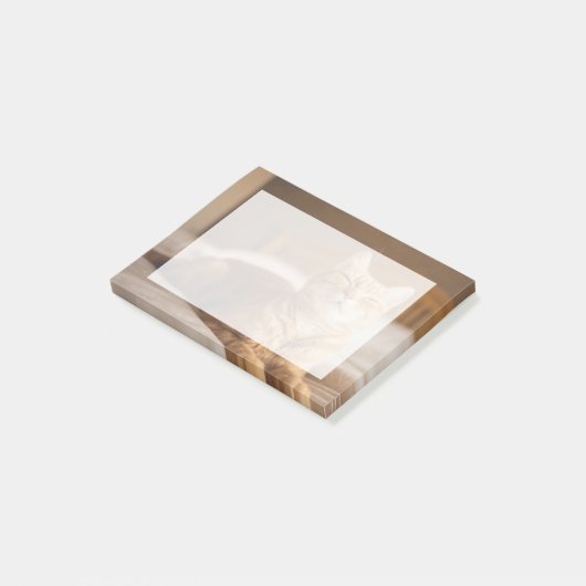 Getty Afbeeldingen | Slaperige kat Post-it® Notes (Schuin)