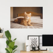 Getty Afbeeldingen | Slaperige kat Poster (Thuiskantoor)