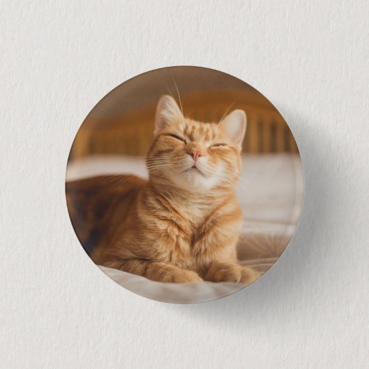 Getty Afbeeldingen | Slaperige kat Ronde Button 3,2 Cm (Voorkant)