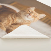 Getty Afbeeldingen | Slaperige kat Sherpa Deken (3/4)