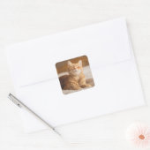 Getty Afbeeldingen | Slaperige kat Vierkante Sticker (Envelop)