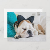 Getty Afbeeldingen | Sleepy Dog met Cat Headband Briefkaart (Voorkant / Achterkant)