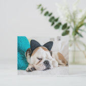 Getty Afbeeldingen | Sleepy Dog met Cat Headband Briefkaart (Staand voorkant)