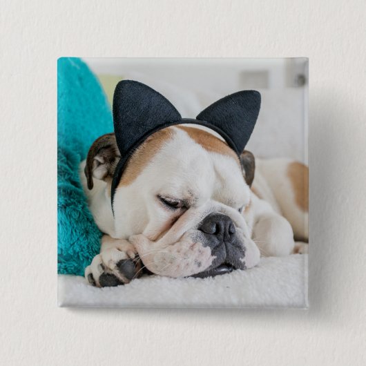 Getty Afbeeldingen | Sleepy Dog met Cat Headband Vierkante Button 5,1 Cm (Voorkant)
