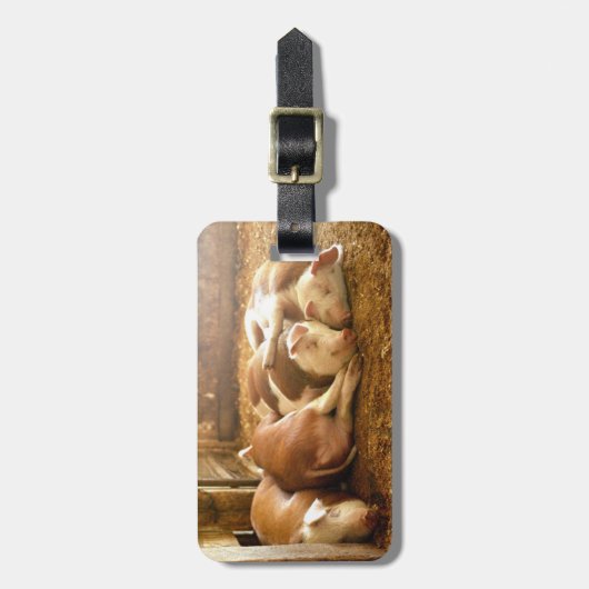 Getty Afbeeldingen | Sneeuwvarkens Bagagelabel (Voorkant verticaal)