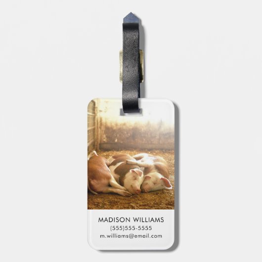 Getty Afbeeldingen | Sneeuwvarkens Bagagelabel (Achterkant verticaal)