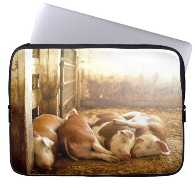 Getty Afbeeldingen | Sneeuwvarkens Laptop Sleeve (Voorkant)