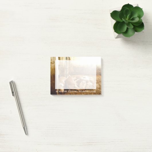 Getty Afbeeldingen | Sneeuwvarkens Post-it® Notes (Kantoor)