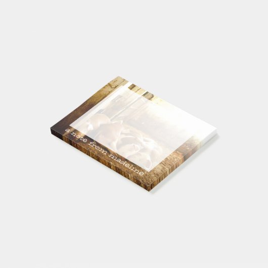Getty Afbeeldingen | Sneeuwvarkens Post-it® Notes (Schuin)