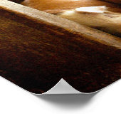 Getty Afbeeldingen | Sneeuwvarkens Poster (Hoek)