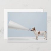 Getty Afbeeldingen | Spreekhond Briefkaart (Voorkant / Achterkant)