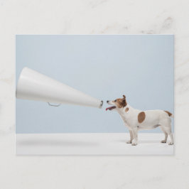 Getty Afbeeldingen | Spreekhond Briefkaart