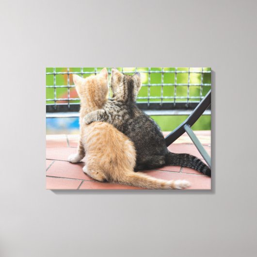 Getty Afbeeldingen | Twee Kittens op een balkon Canvas Afdruk (Voorkant)