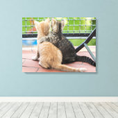 Getty Afbeeldingen | Twee Kittens op een balkon Canvas Afdruk (Insitu (Houten vloer))