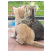 Getty Afbeeldingen | Twee Kittens op een balkon Klembord (Achterkant)