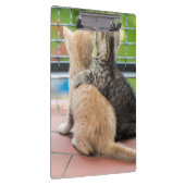 Getty Afbeeldingen | Twee Kittens op een balkon Klembord (Rechts)