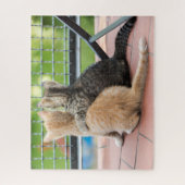 Getty Afbeeldingen | Twee Kittens op een balkon Legpuzzel (Verticaal)