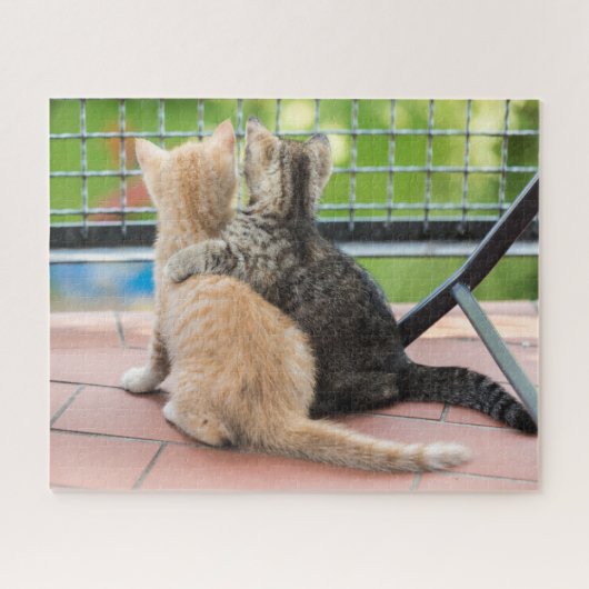 Getty Afbeeldingen | Twee Kittens op een balkon Legpuzzel (Horizontaal)