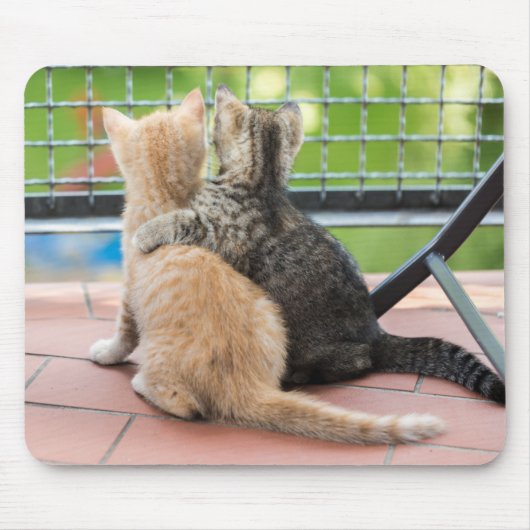 Getty Afbeeldingen | Twee Kittens op een balkon Muismat (Voorkant)