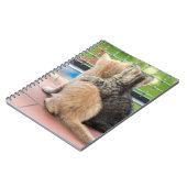 Getty Afbeeldingen | Twee Kittens op een balkon Notitieboek (Linkerzijde)