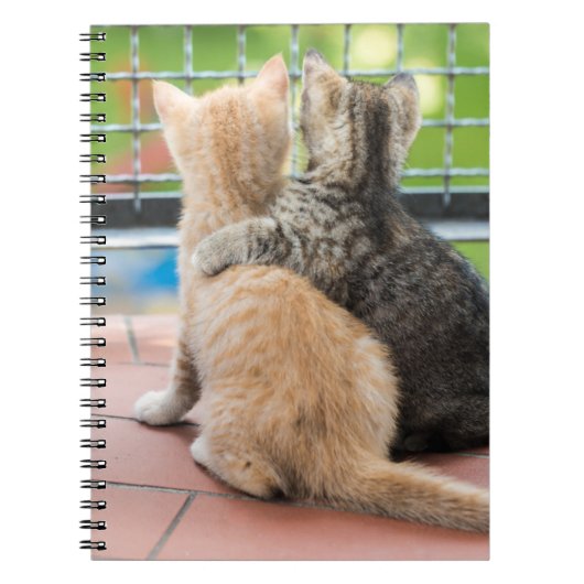 Getty Afbeeldingen | Twee Kittens op een balkon Notitieboek (Voorkant)