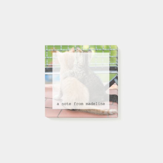 Getty Afbeeldingen | Twee Kittens op een balkon Post-it® Notes (Voorkant)