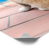 Getty Afbeeldingen | Twee Kittens op een balkon Poster (Hoek)