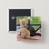 Getty Afbeeldingen | Twee Kittens op een balkon Vierkante Button 5,1 Cm (Voorkant /achterkant)