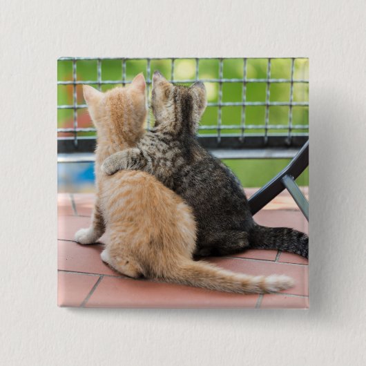 Getty Afbeeldingen | Twee Kittens op een balkon Vierkante Button 5,1 Cm (Voorkant)