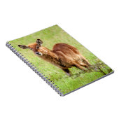 Getty Afbeeldingen | Young Brown Antelope Waterbuc Notitieboek (Rechterzijde)