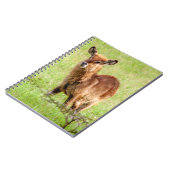 Getty Afbeeldingen | Young Brown Antelope Waterbuc Notitieboek (Linkerzijde)