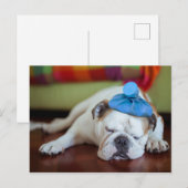 Getty Afbeeldingen | Zick Young Puppy Briefkaart (Voorkant / Achterkant)