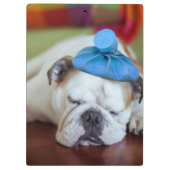 Getty Afbeeldingen | Zick Young Puppy Klembord (Achterkant)