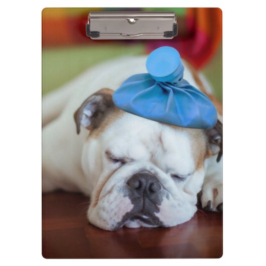 Getty Afbeeldingen | Zick Young Puppy Klembord (Voorkant)