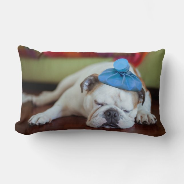 Getty Afbeeldingen | Zick Young Puppy Kussen (Voorkant)